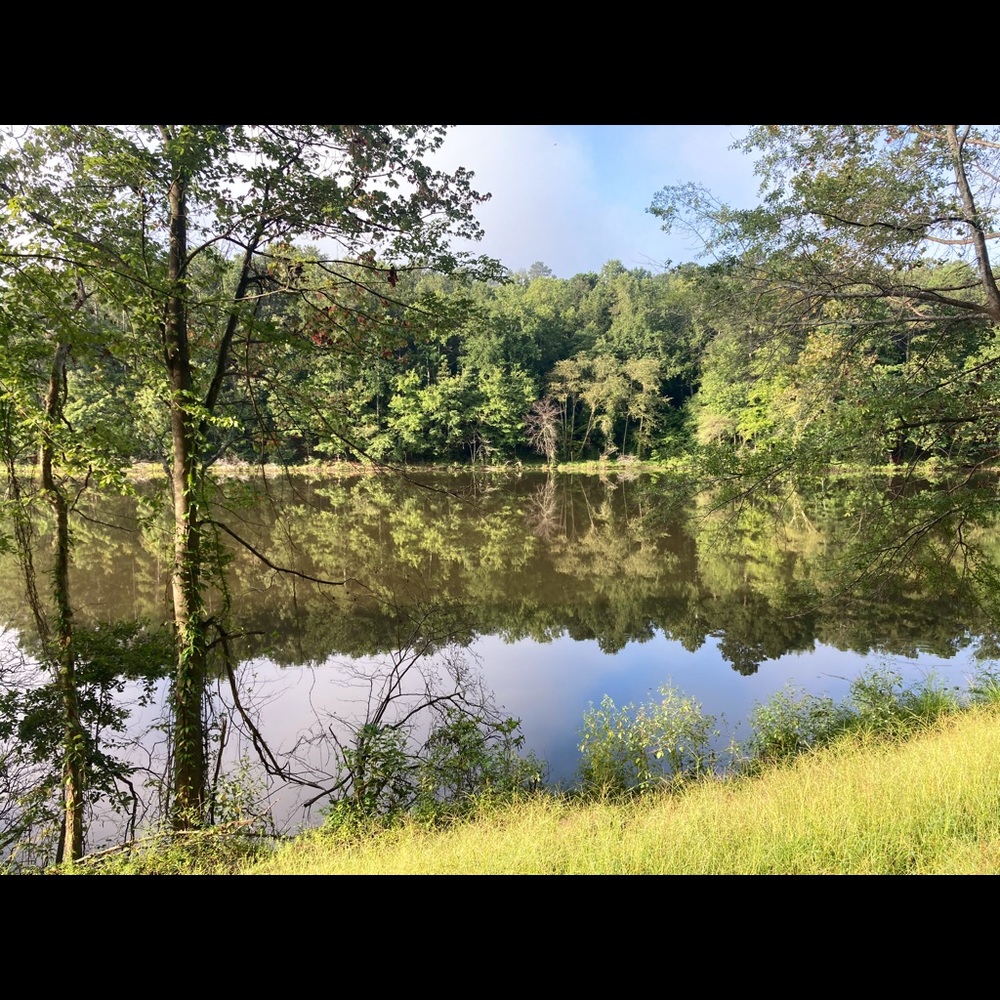 Meet your Posher, Antonio